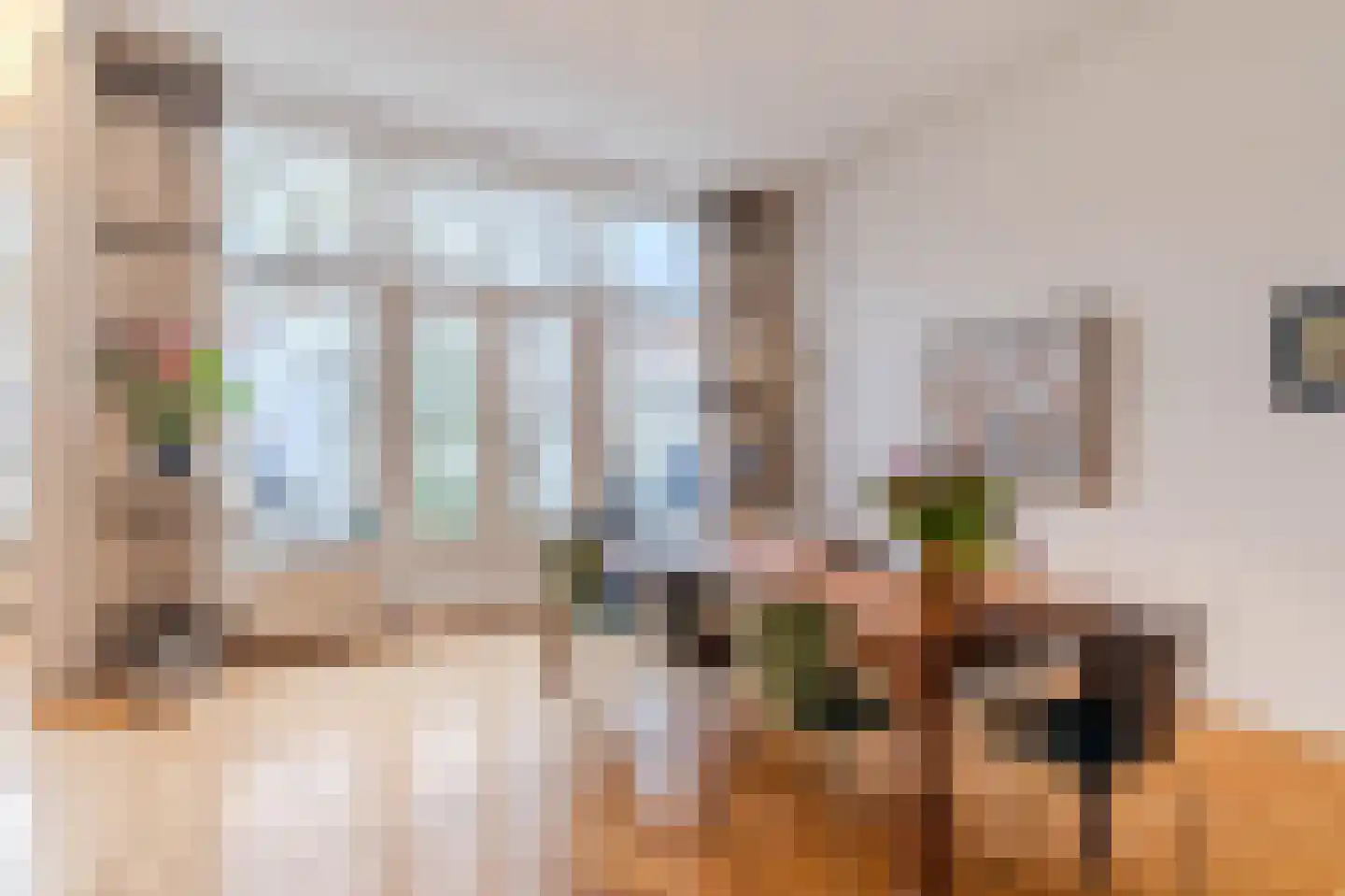 Anna Paulownastraat 89 Den Haag thumbnail 13