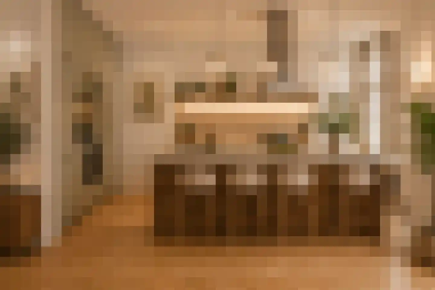 Anna Paulownastraat 89 Den Haag thumbnail 14