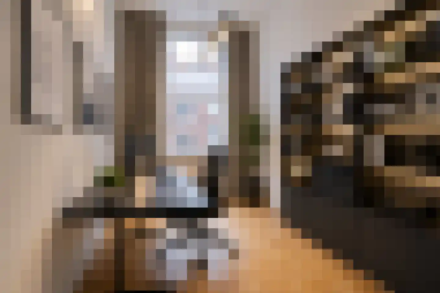 Anna Paulownastraat 89 Den Haag thumbnail 17