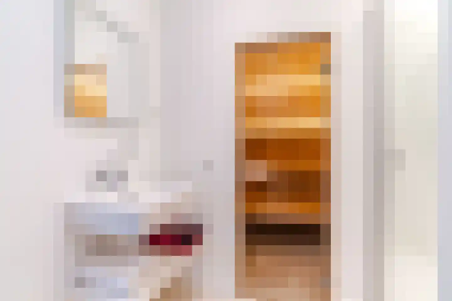 Anna Paulownastraat 89 Den Haag thumbnail 18