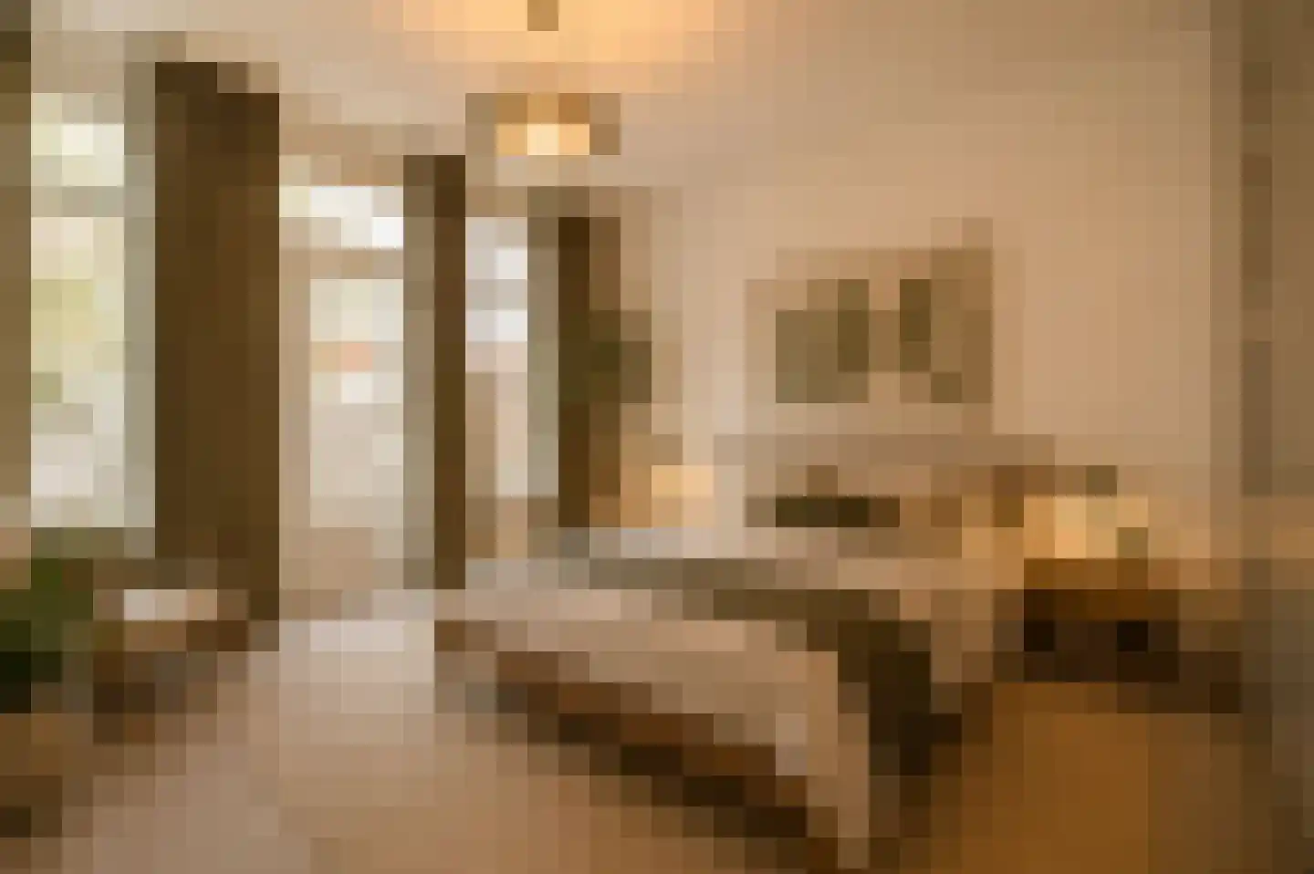 Anna Paulownastraat 89 Den Haag thumbnail 20