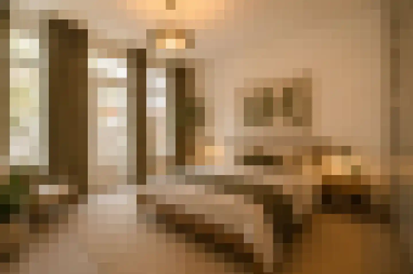 Anna Paulownastraat 89 Den Haag thumbnail 20