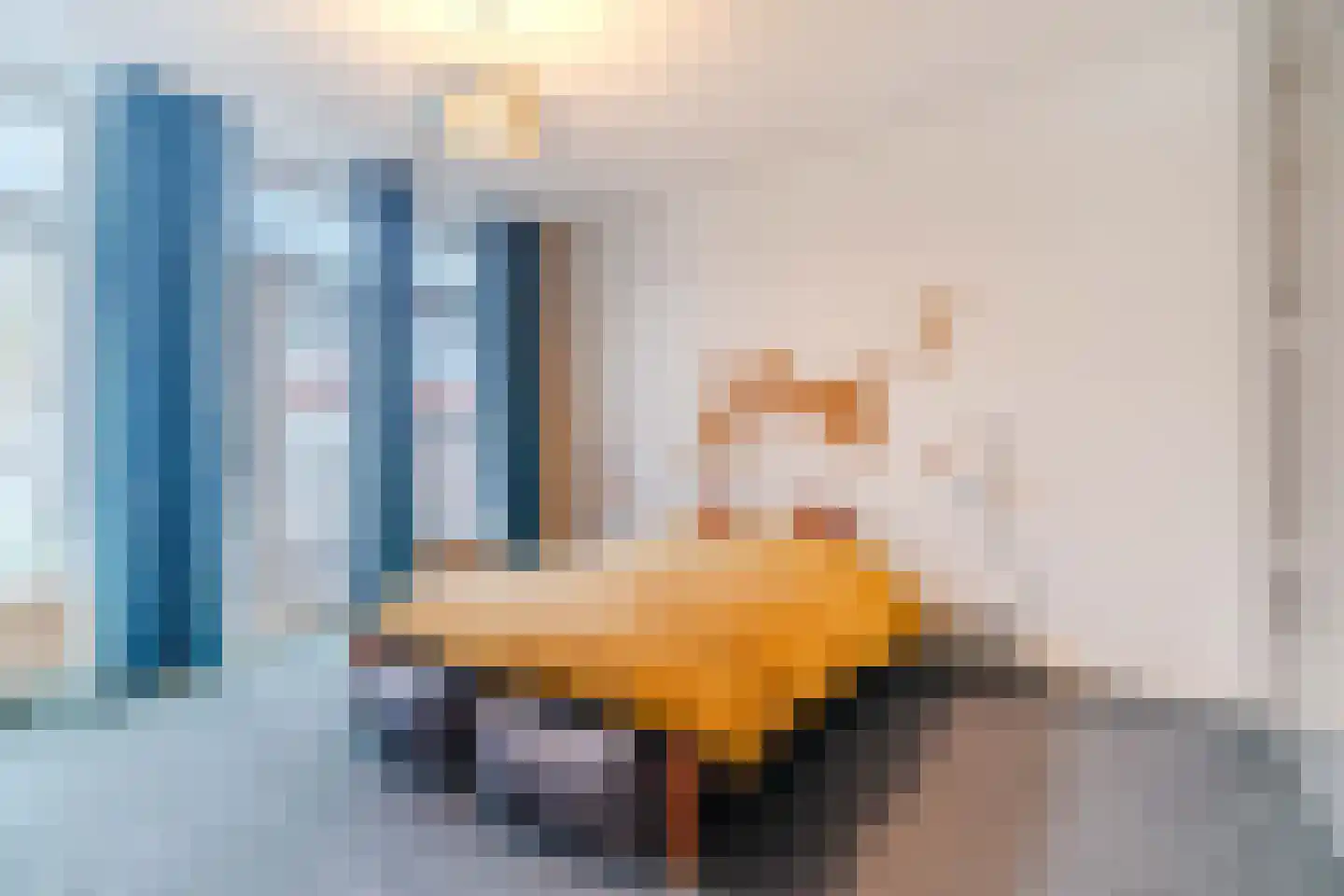 Anna Paulownastraat 89 Den Haag thumbnail 21