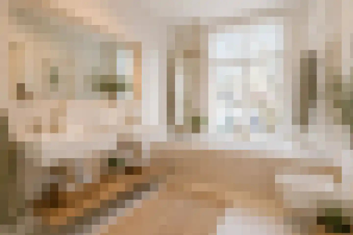 Anna Paulownastraat 89 Den Haag thumbnail 22