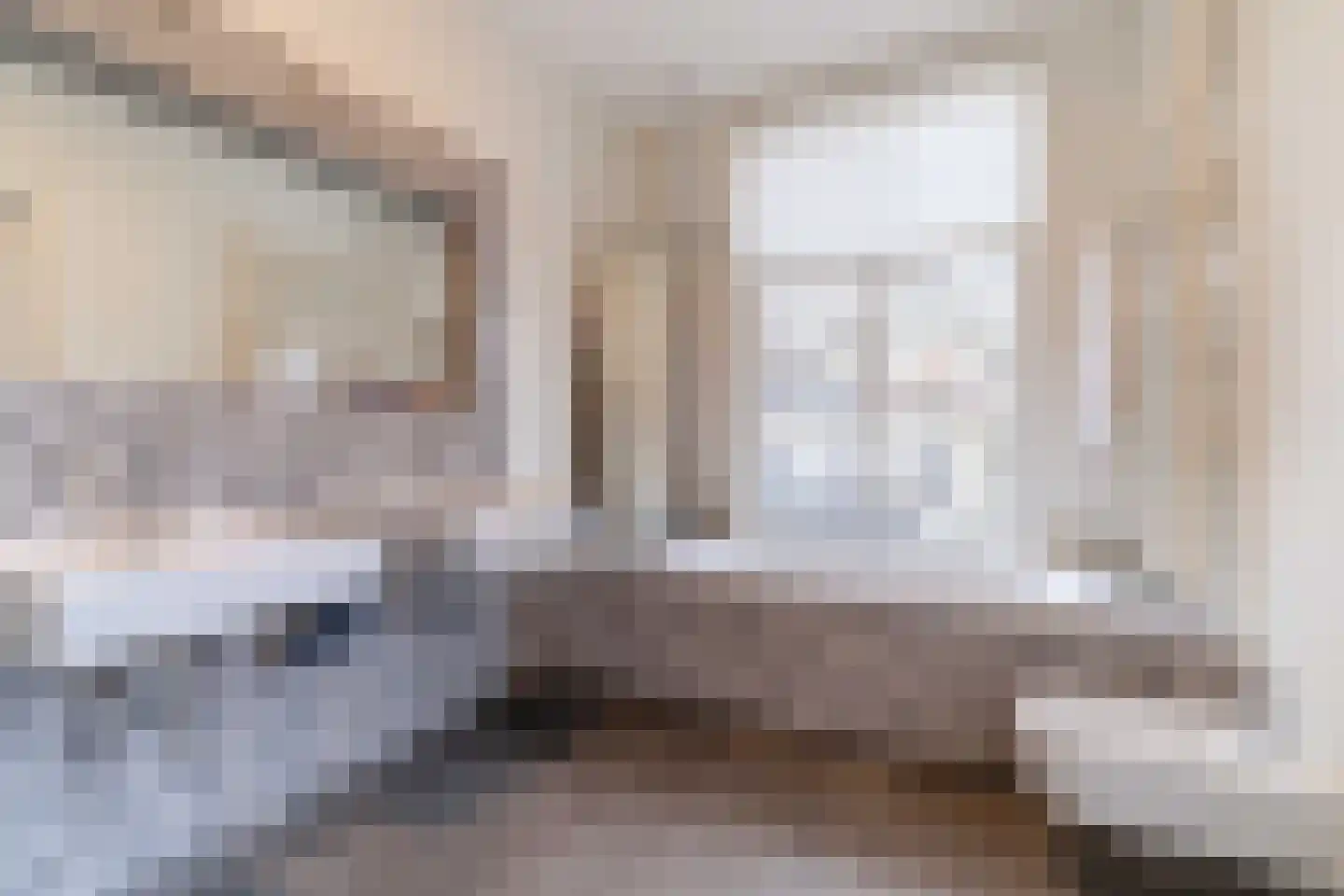 Anna Paulownastraat 89 Den Haag thumbnail 23