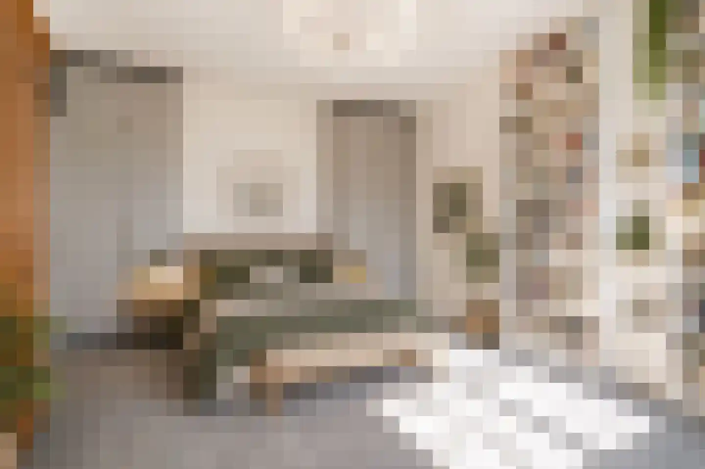 Anna Paulownastraat 89 Den Haag thumbnail 25
