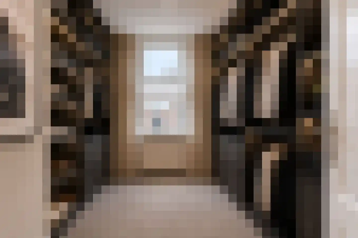 Anna Paulownastraat 89 Den Haag thumbnail 28