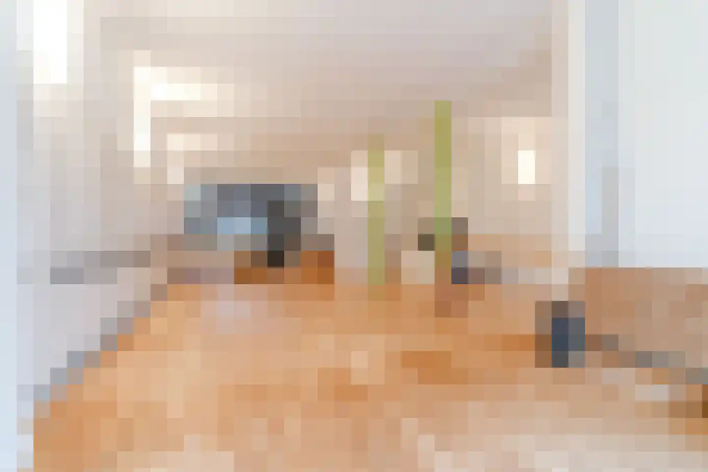 Anna Paulownastraat 89 Den Haag thumbnail 30
