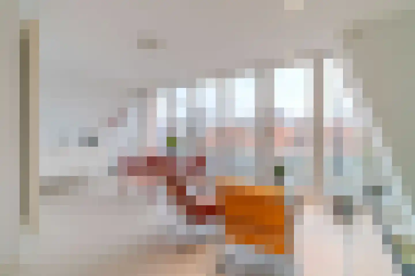 Anna Paulownastraat 89 Den Haag thumbnail 33