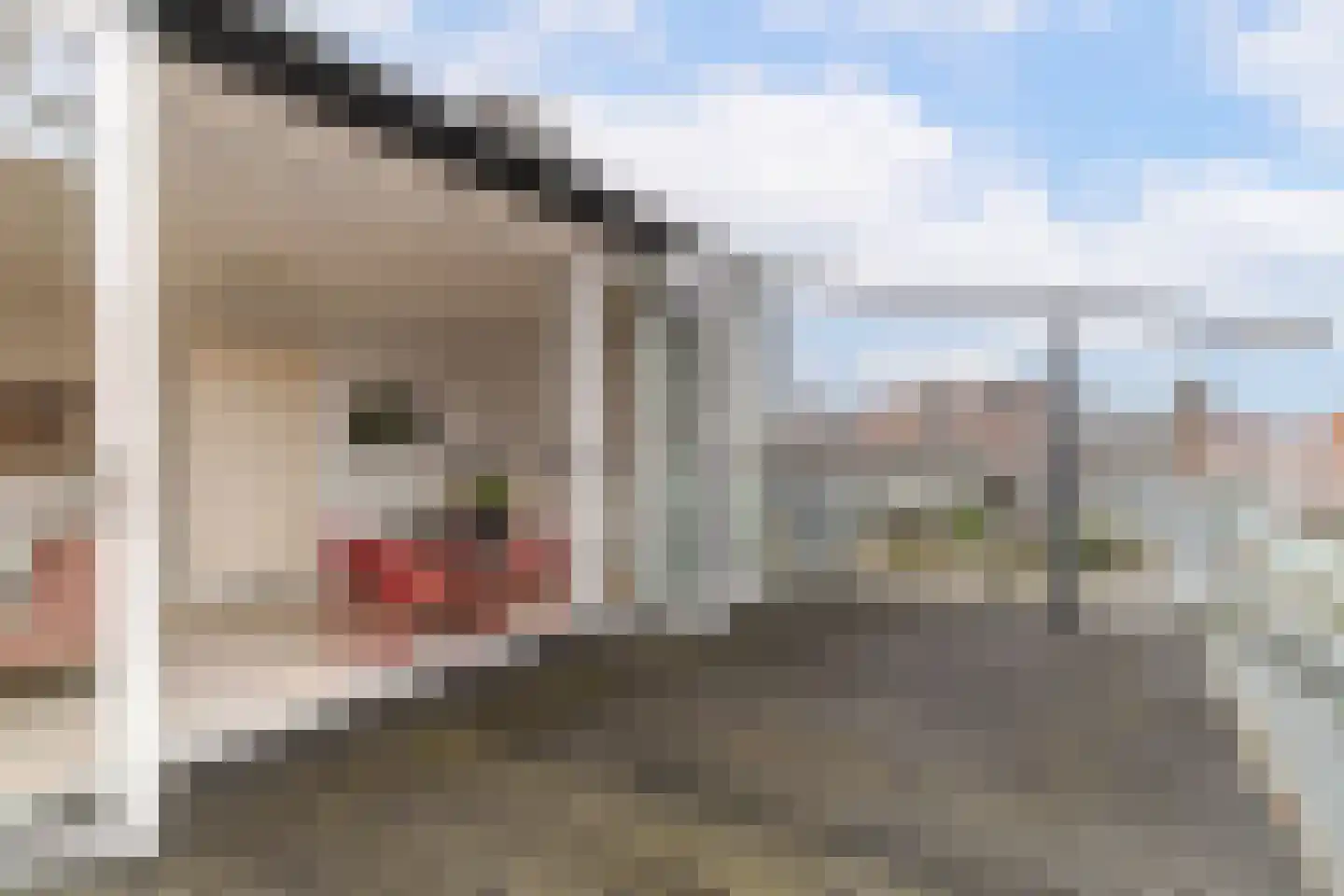 Anna Paulownastraat 89 Den Haag thumbnail 34