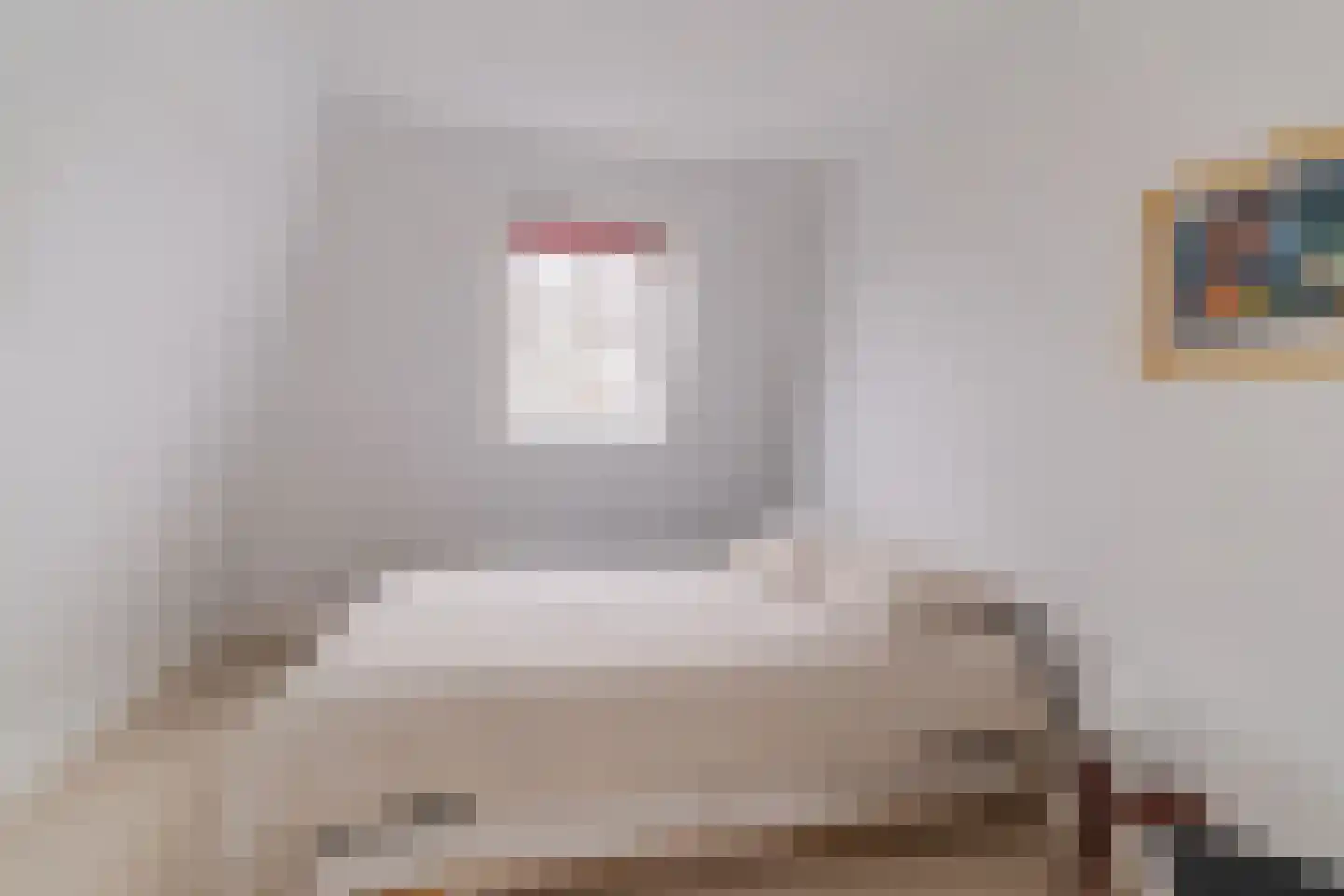 Anna Paulownastraat 89 Den Haag thumbnail 43