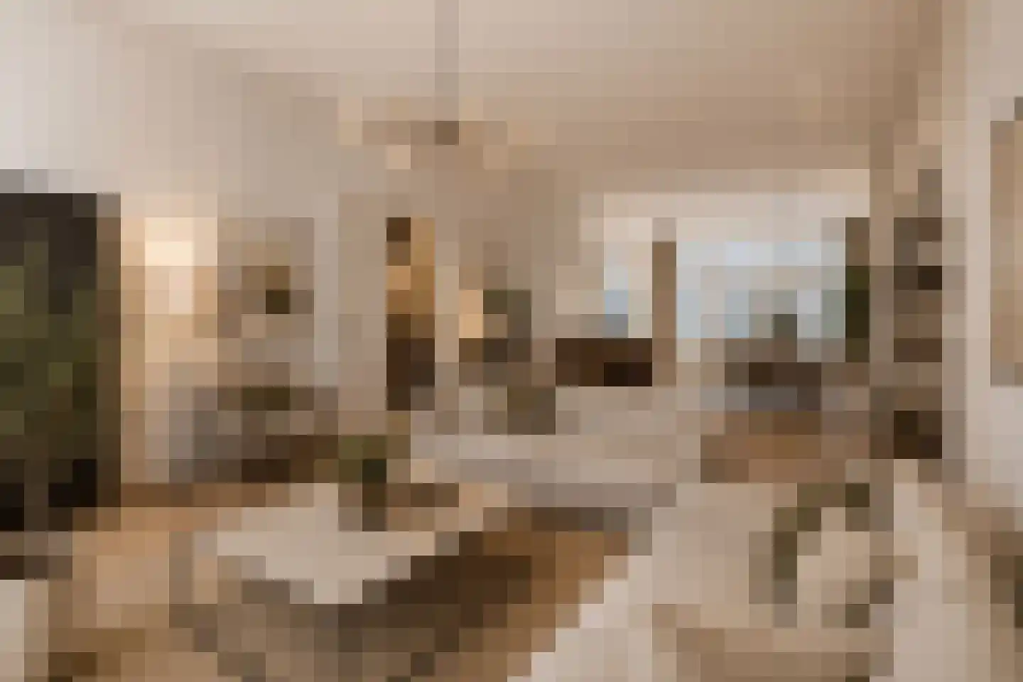 Anna Paulownastraat 89 Den Haag thumbnail 9