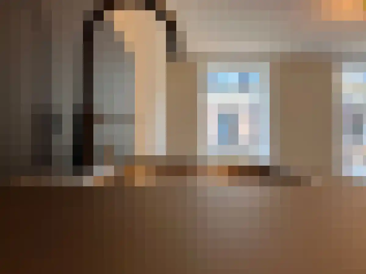 Anna Paulownastraat 9 Den Haag thumbnail 4