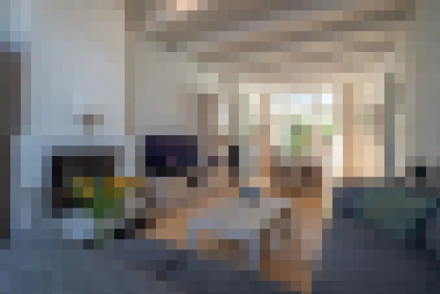 Anna Paulownastraat 9 Groningen thumbnail 19