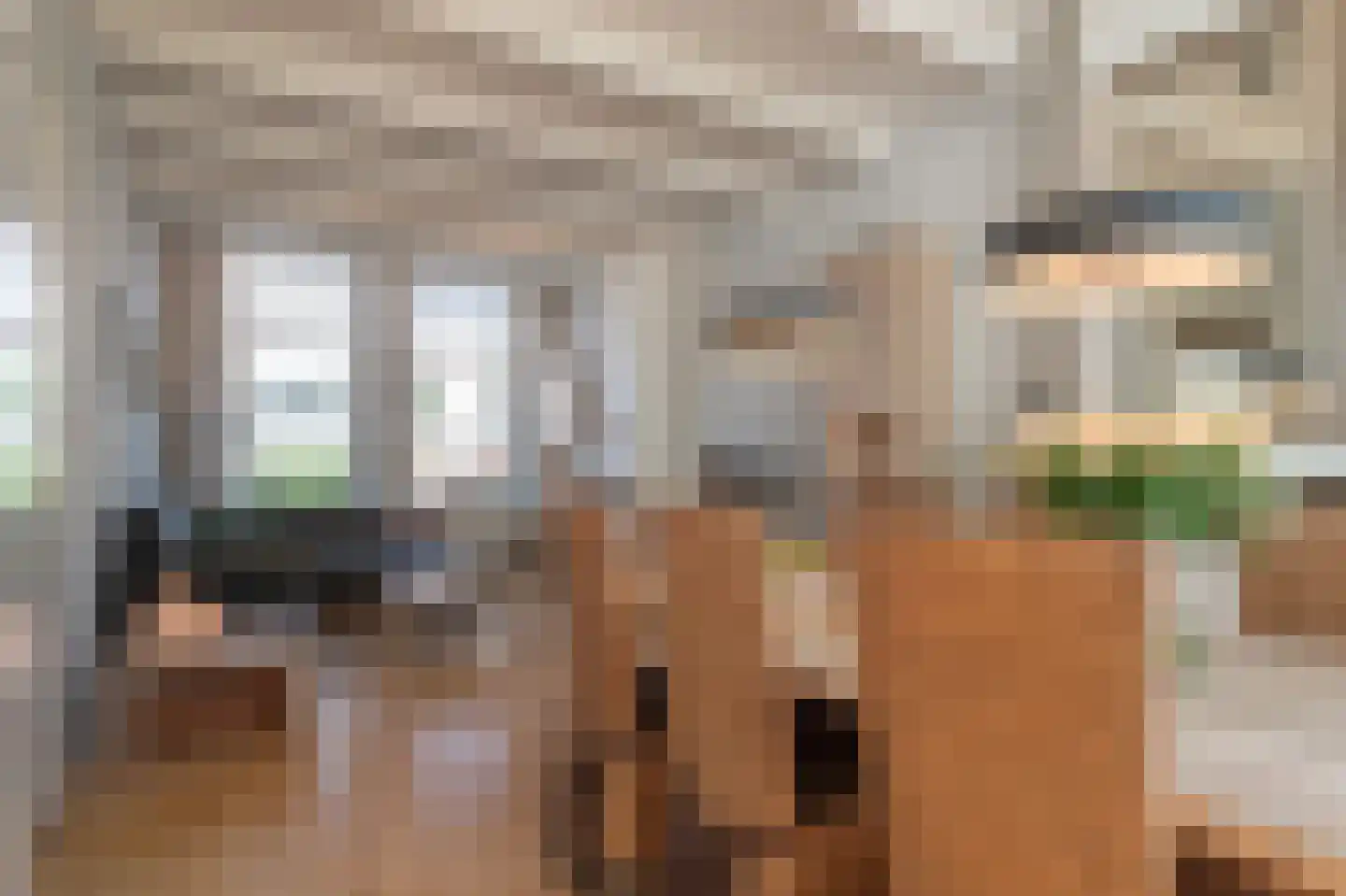 Anna Paulownastraat 9 Groningen thumbnail 20