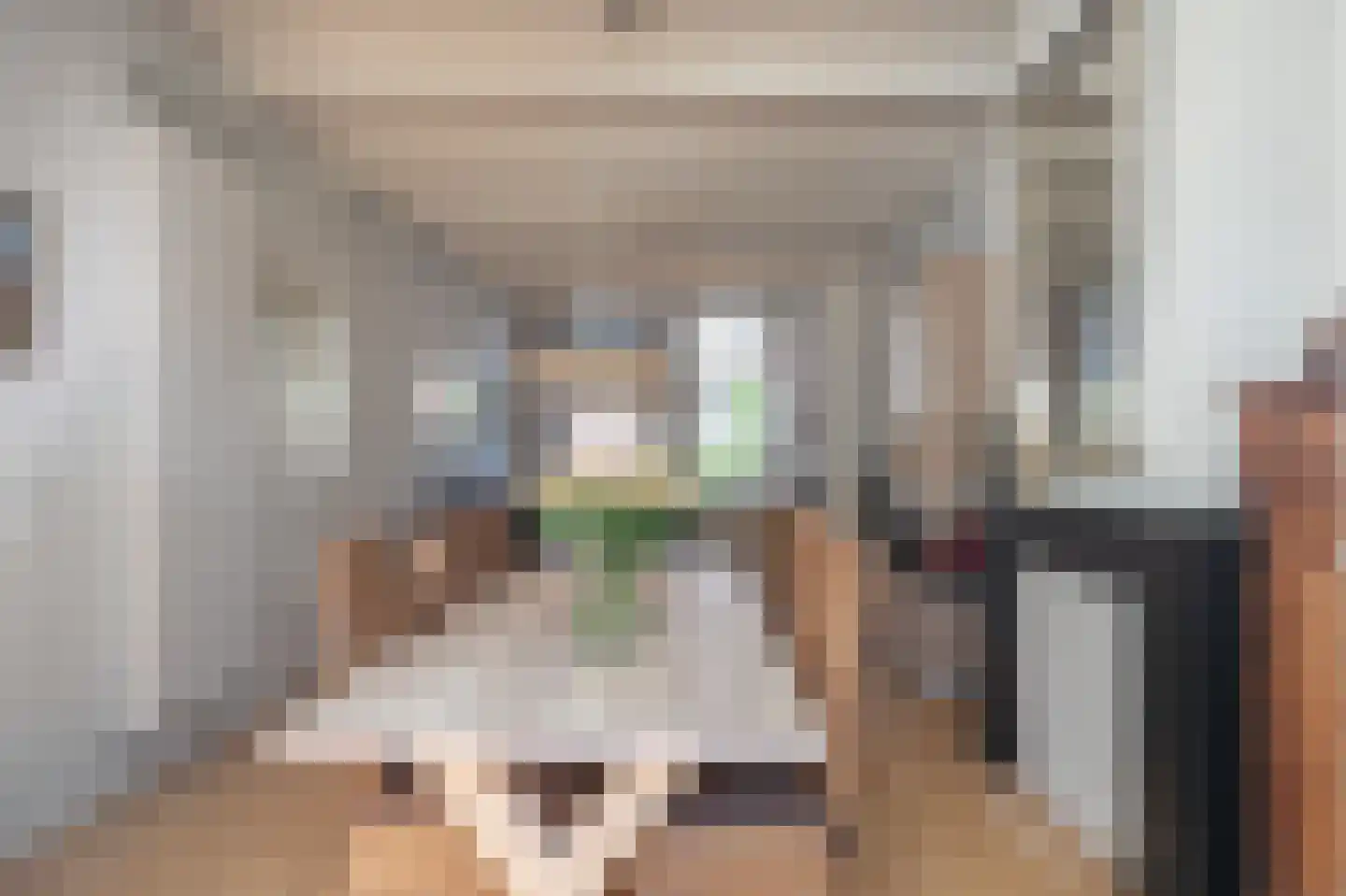 Anna Paulownastraat 9 Groningen thumbnail 21