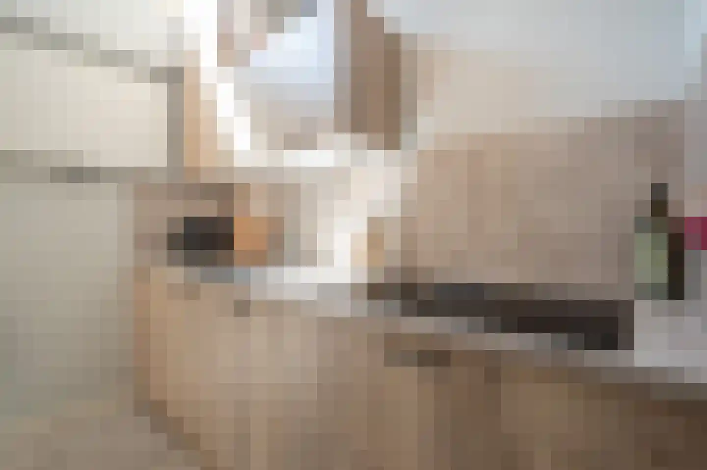 Anna Paulownastraat 9 Groningen thumbnail 25