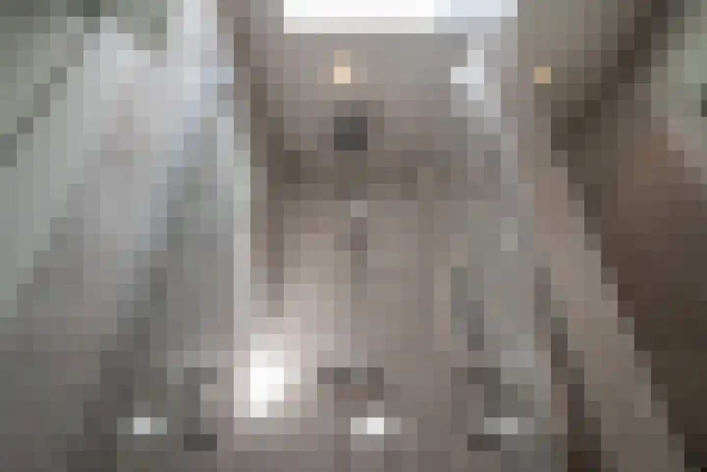Anna Paulownastraat 9 Groningen thumbnail 31