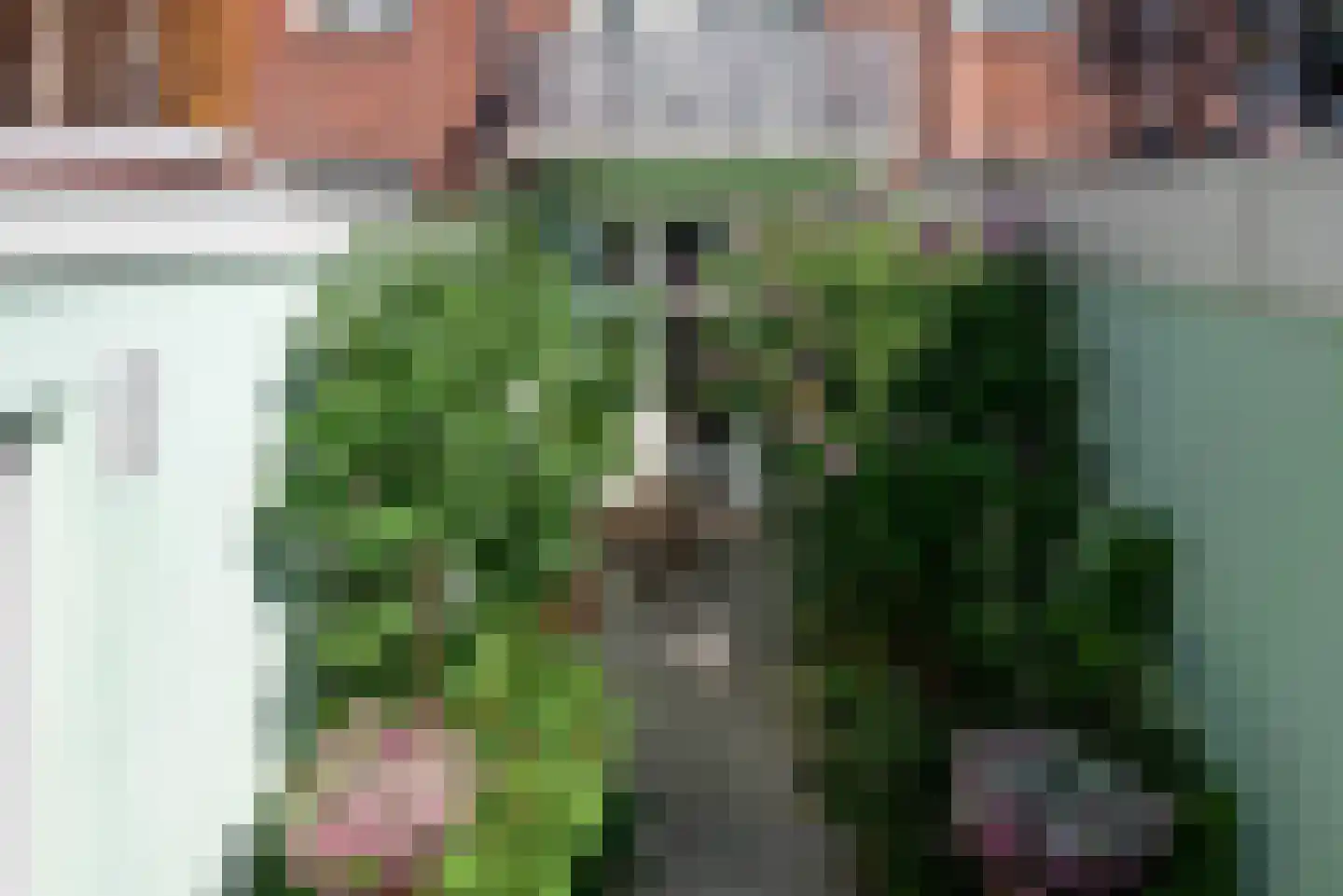 Anna Paulownastraat 9 Groningen thumbnail 33