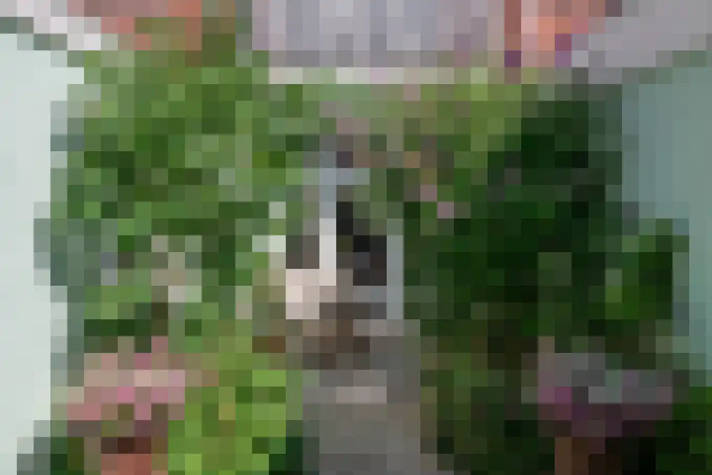 Anna Paulownastraat 9 Groningen thumbnail 36