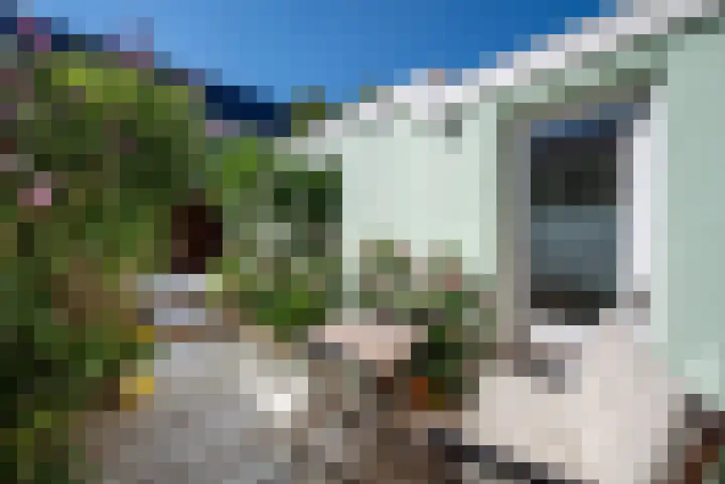 Anna Paulownastraat 9 Groningen thumbnail 38