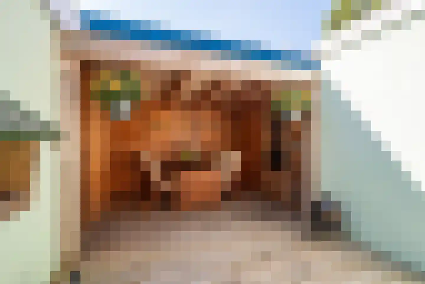 Anna Paulownastraat 9 Groningen thumbnail 40