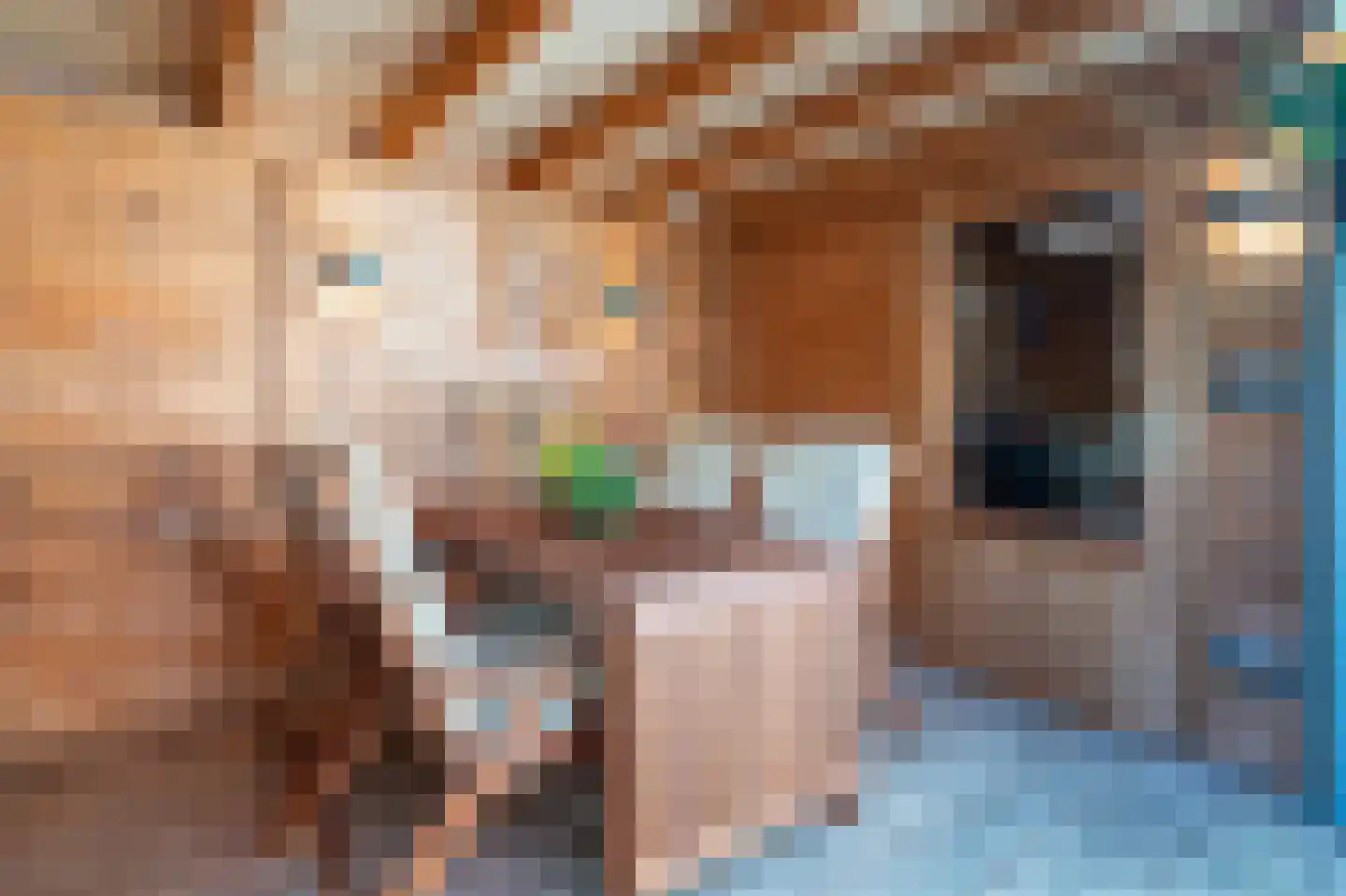 Anna Paulownastraat 9 Groningen thumbnail 41