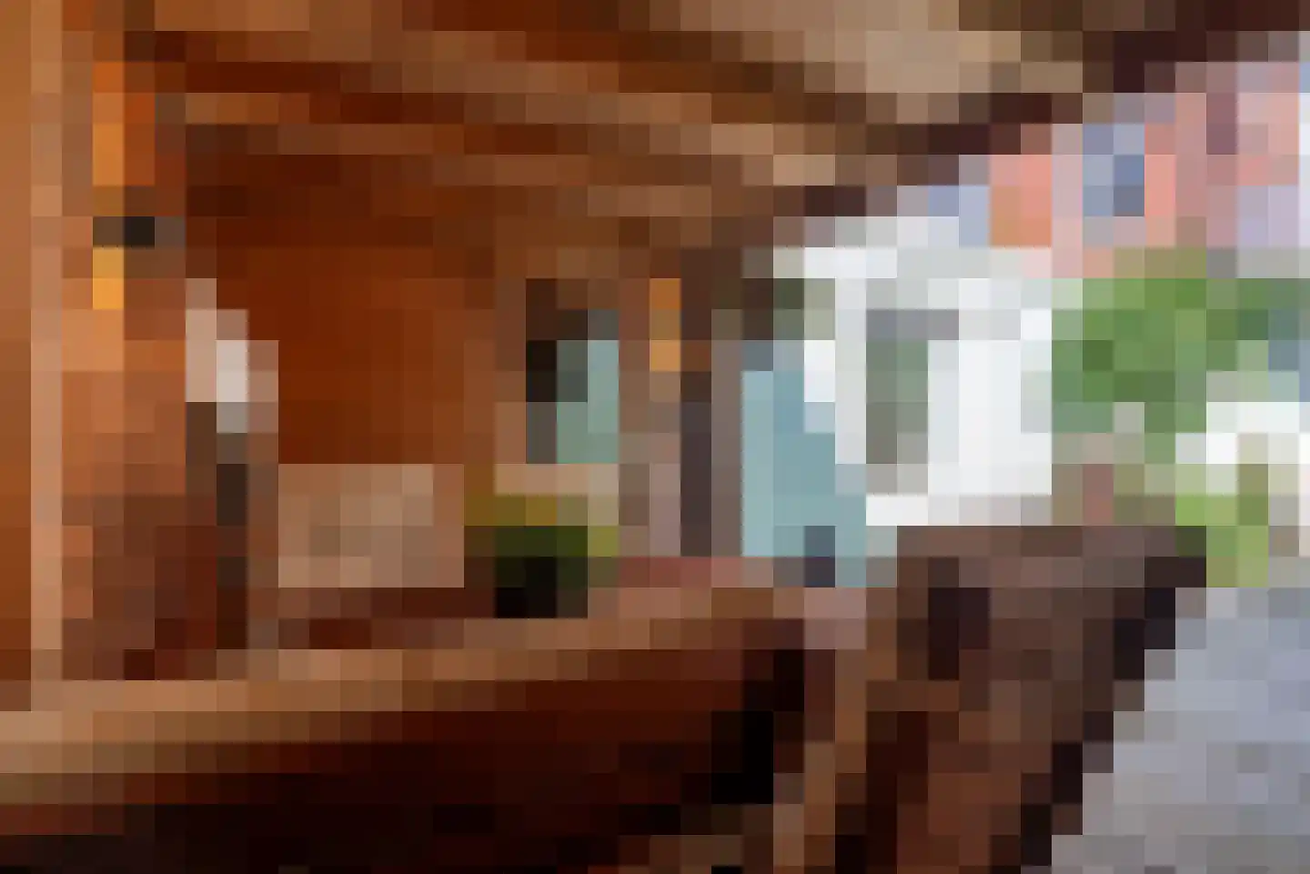 Anna Paulownastraat 9 Groningen thumbnail 42