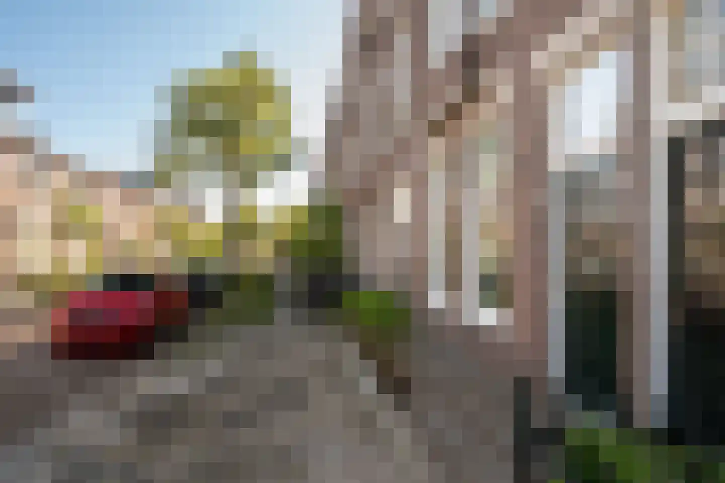 Anna Paulownastraat 9 Groningen thumbnail 9