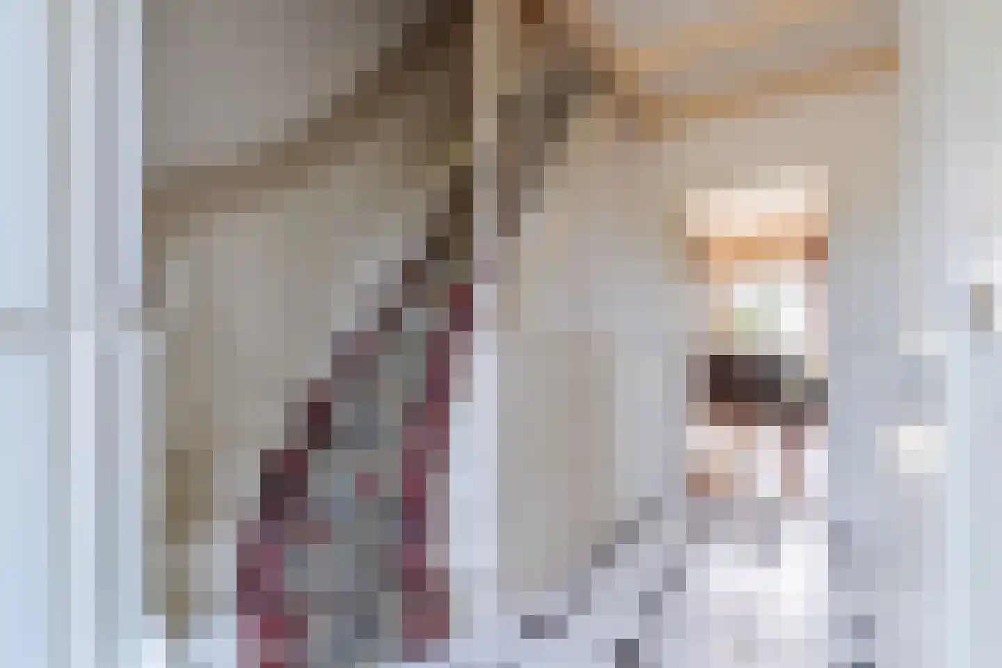Anna Paulownaweg 4 't Zand thumbnail 10