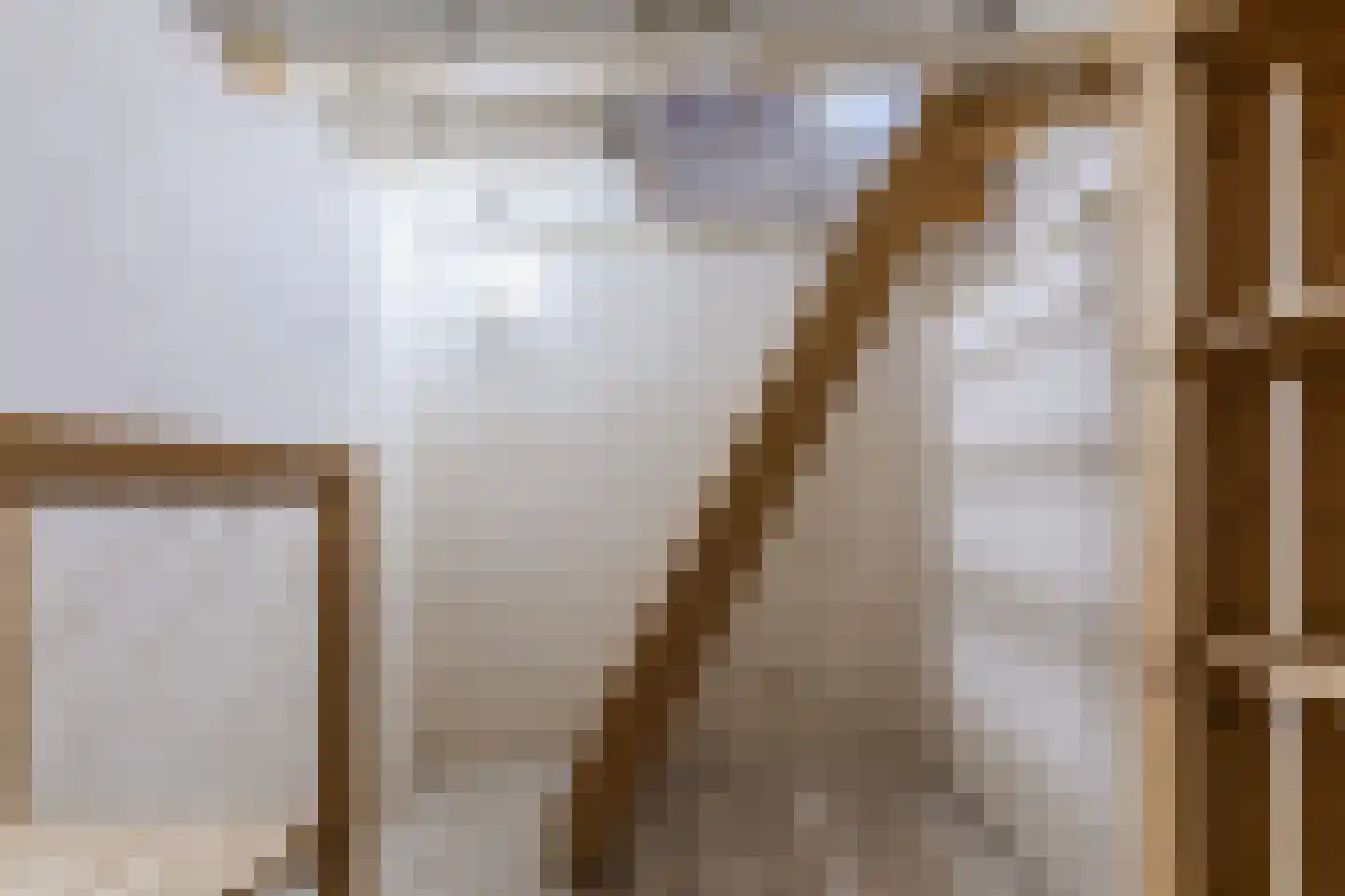 Anna Paulownaweg 4 't Zand thumbnail 36