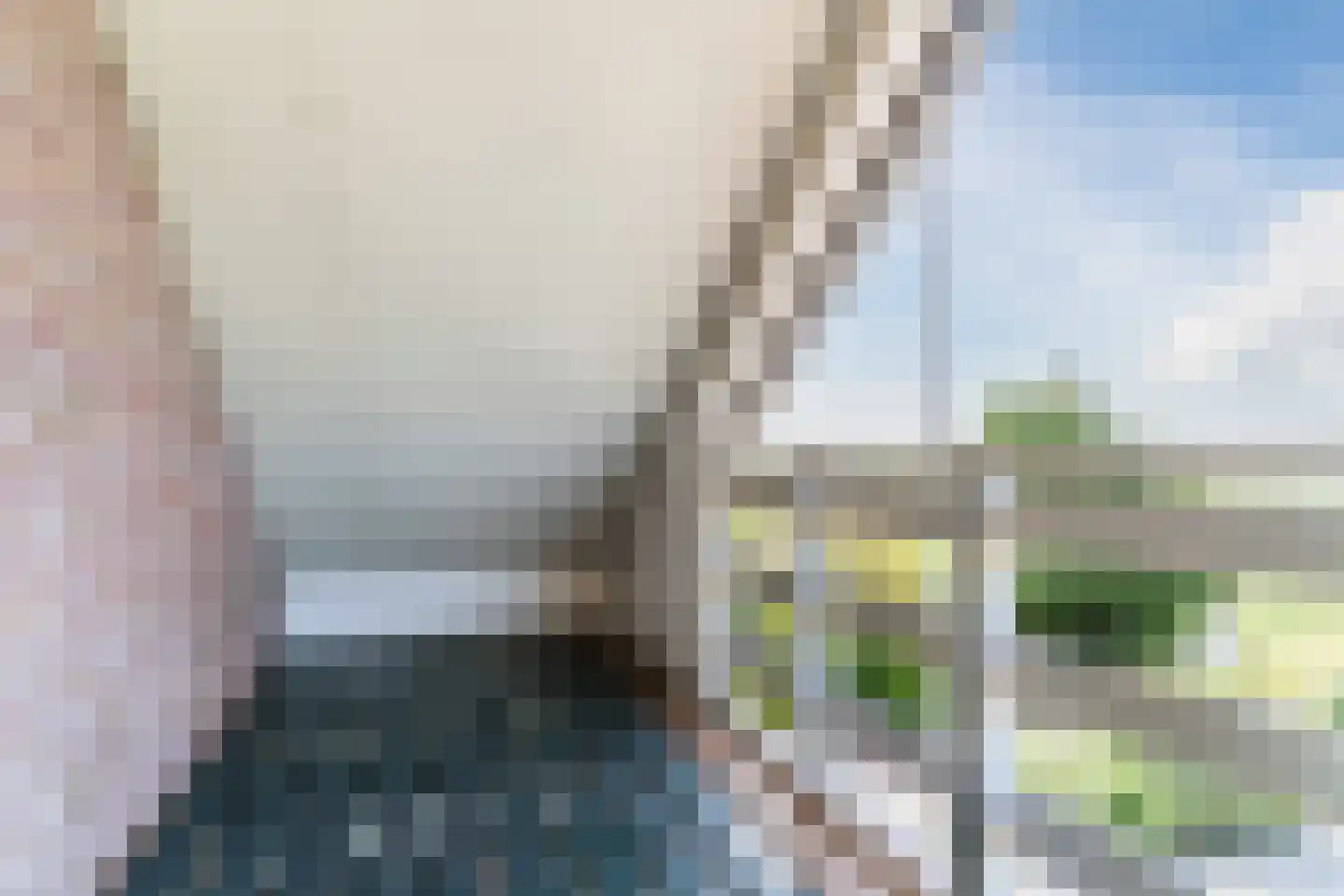 Anna Paulownaweg 4 't Zand thumbnail 57