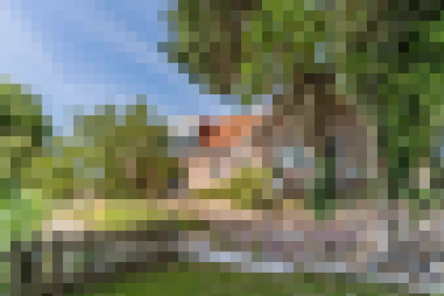 Anna Paulownaweg 4 't Zand thumbnail 63