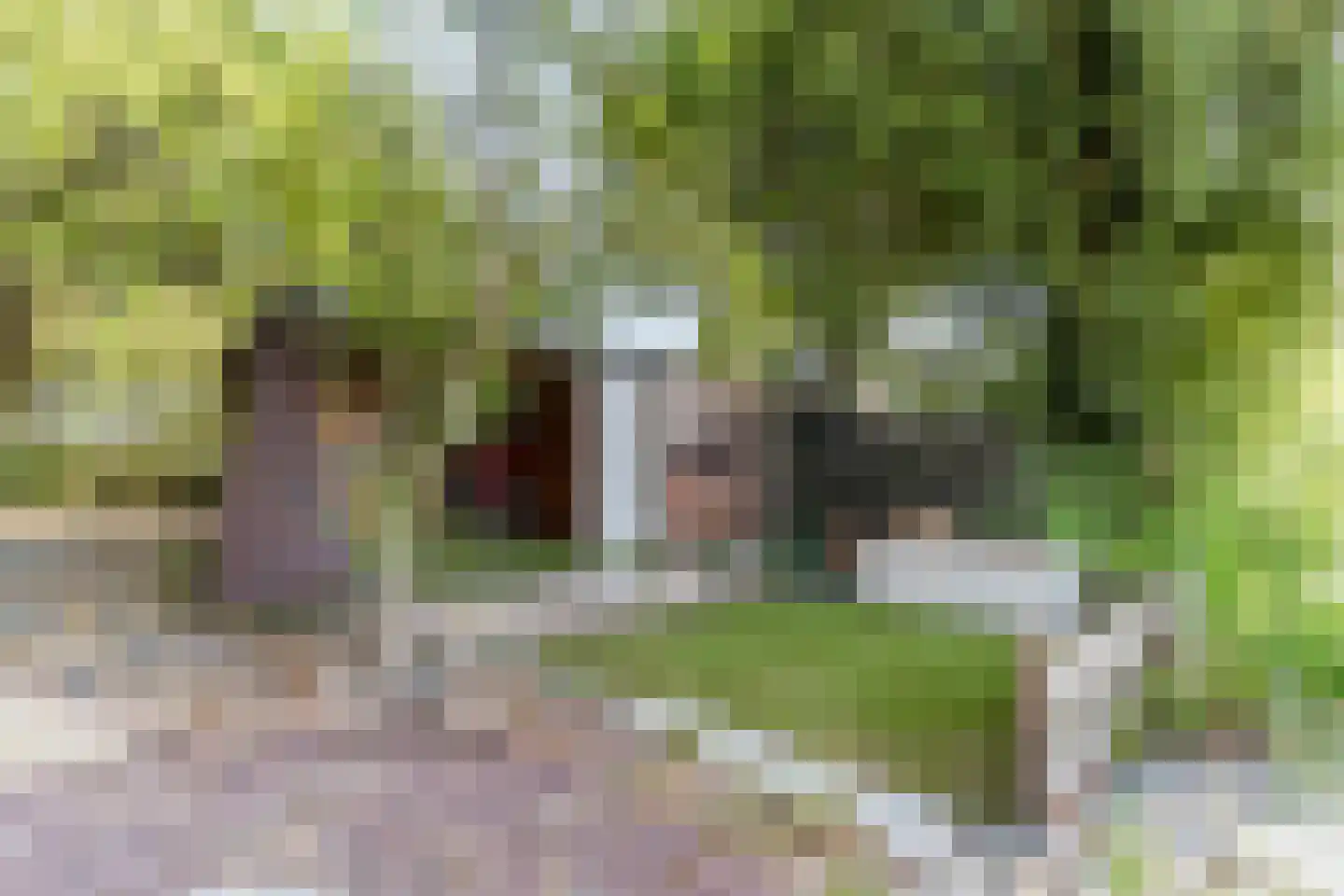 Anna Paulownaweg 4 't Zand thumbnail 64