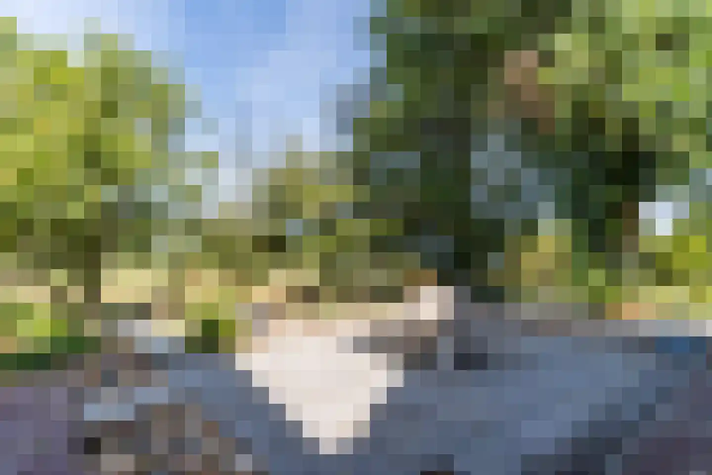 Anna Paulownaweg 4 't Zand thumbnail 7