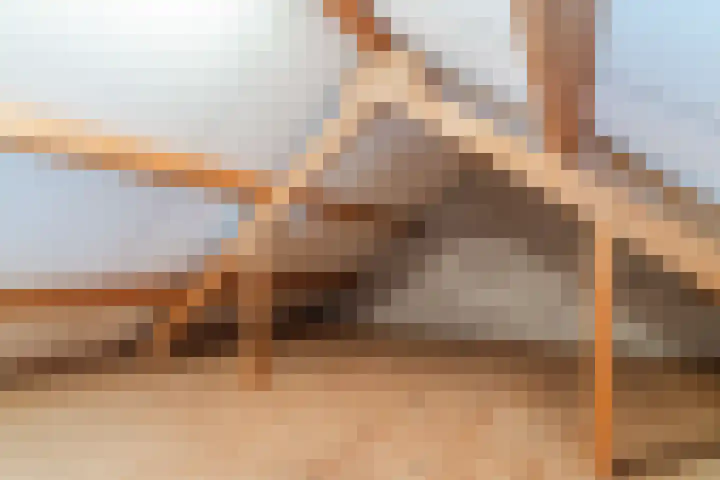 Anna Paulownaweg 4 't Zand thumbnail 71