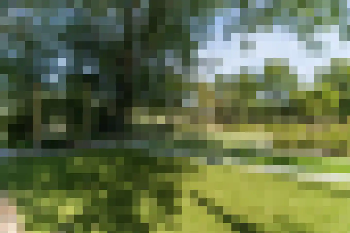 Anna Paulownaweg 4 't Zand thumbnail 79
