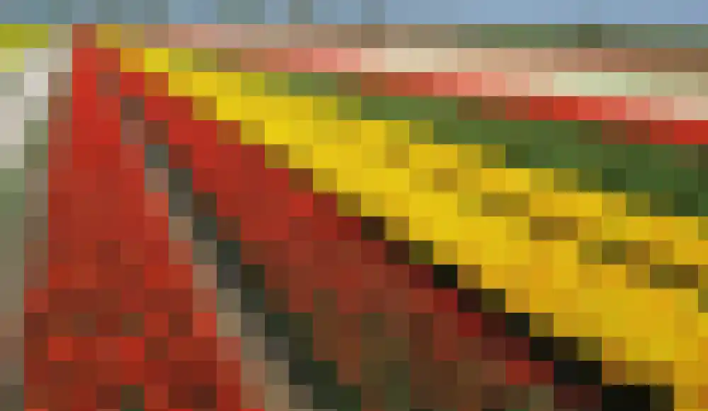Anna Paulownaweg 4 't Zand thumbnail 88