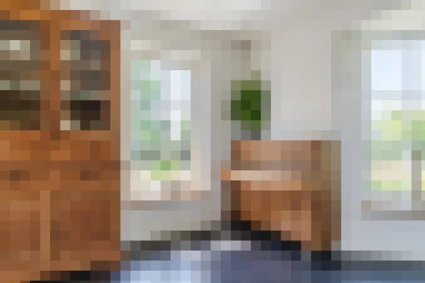 Anna Paulownaweg 6 't Zand thumbnail 25