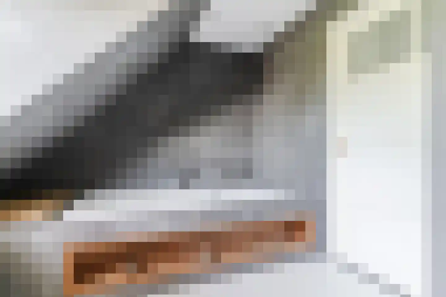 Anna Paulownaweg 6 't Zand thumbnail 53