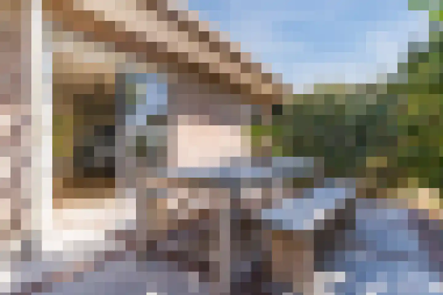 Anna Paulownaweg 6 't Zand thumbnail 66