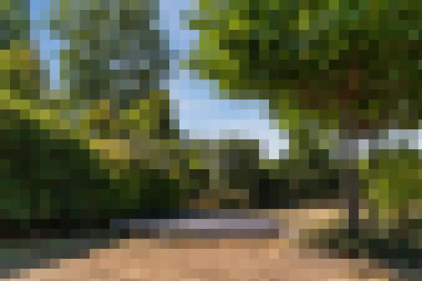 Anna Paulownaweg 6 't Zand thumbnail 69