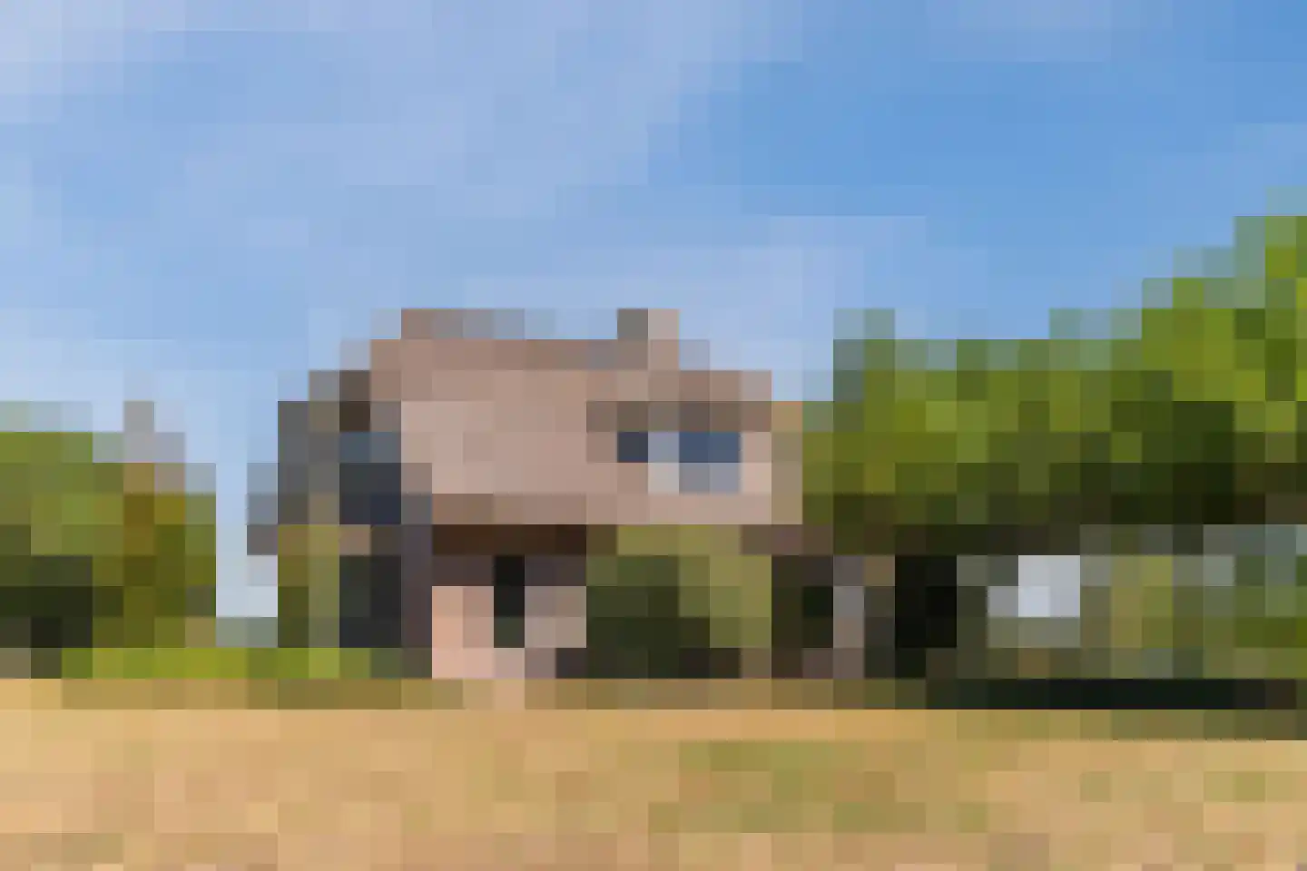 Anna Paulownaweg 6 't Zand thumbnail 71