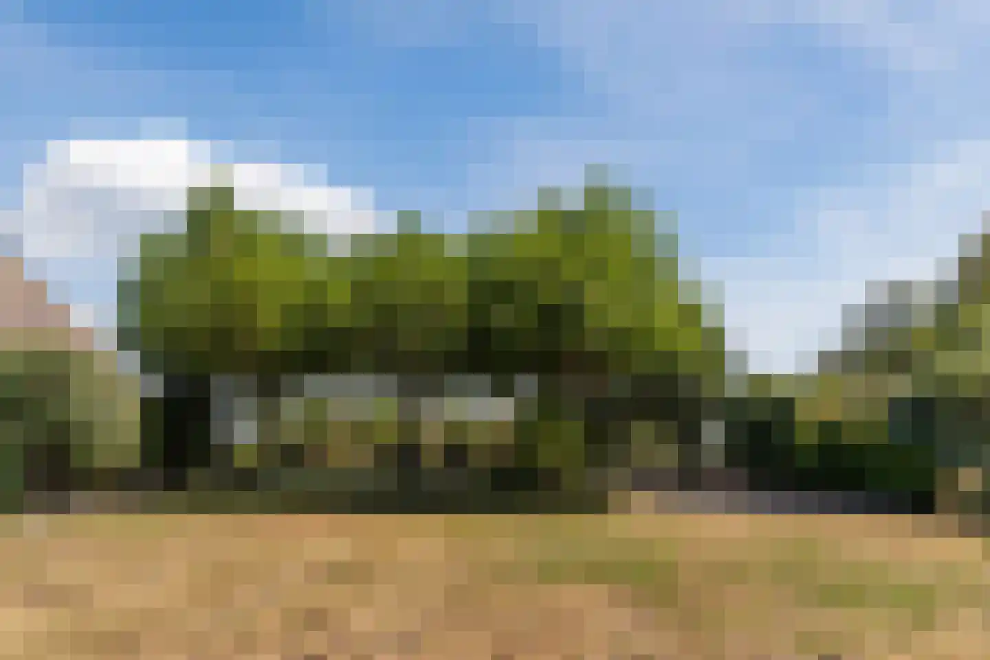 Anna Paulownaweg 6 't Zand thumbnail 72