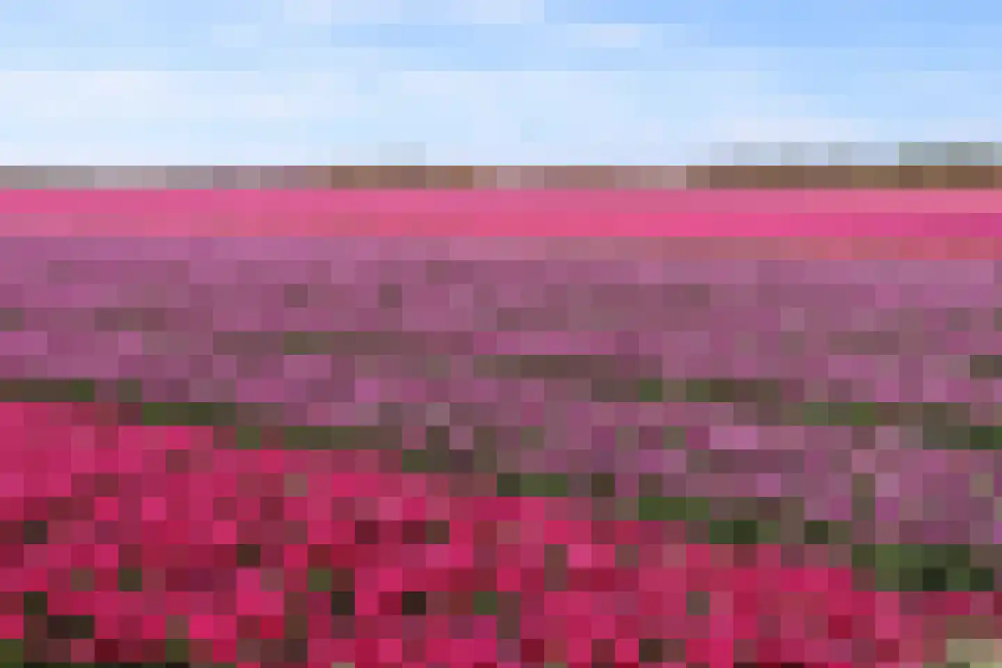 Anna Paulownaweg 6 't Zand thumbnail 85