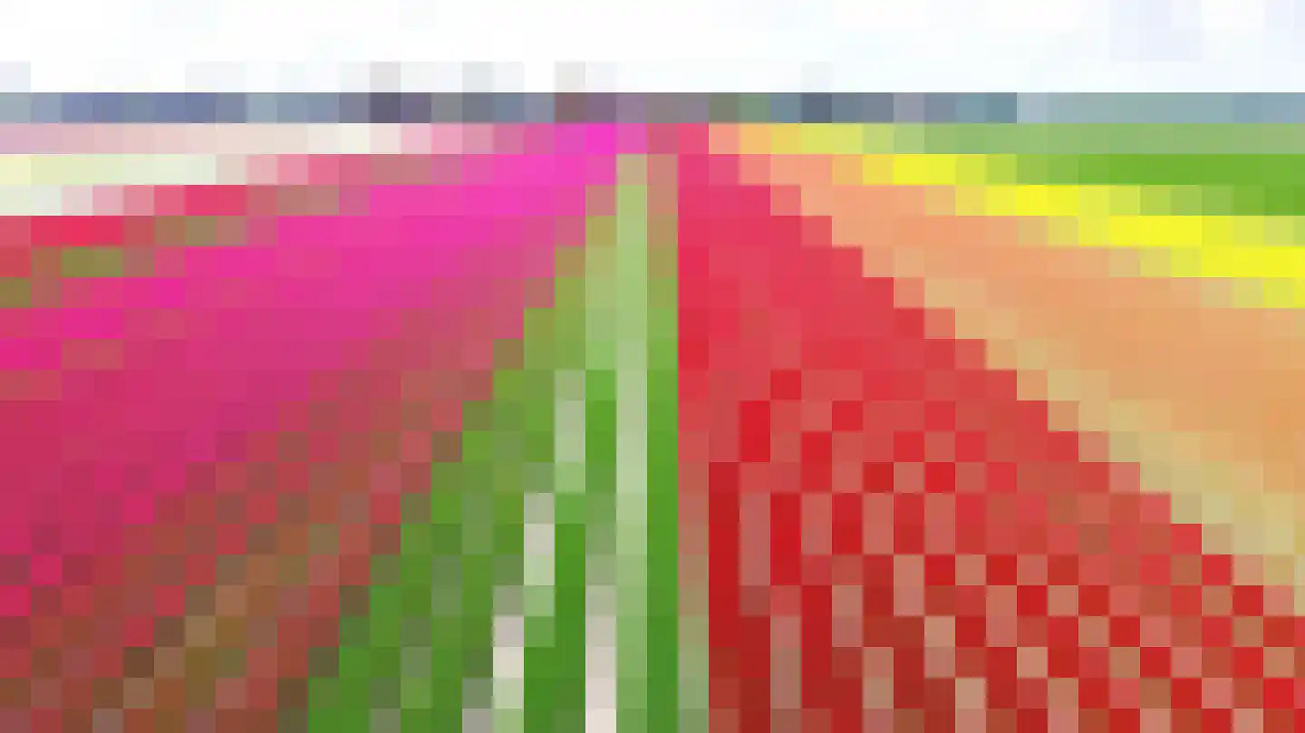 Anna Paulownaweg 6 't Zand thumbnail 86