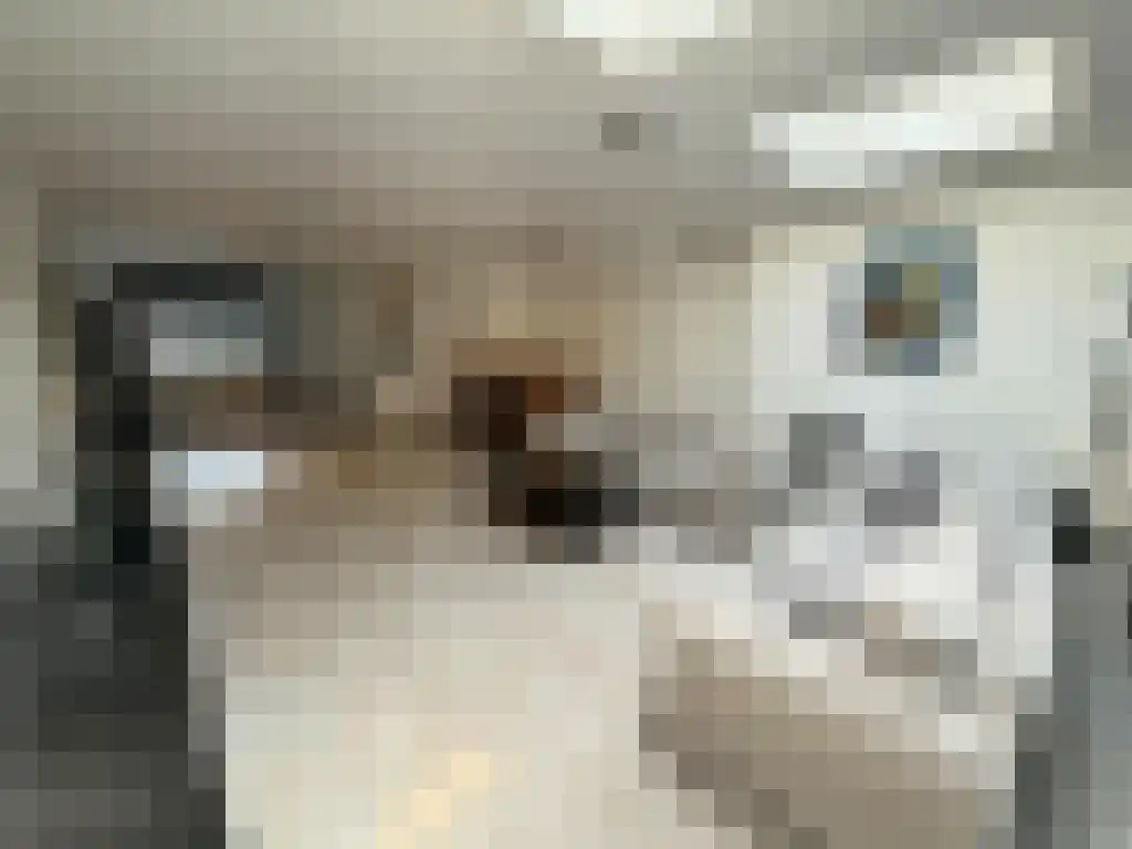 Anna Polaklaan 33 Amstelveen thumbnail 4
