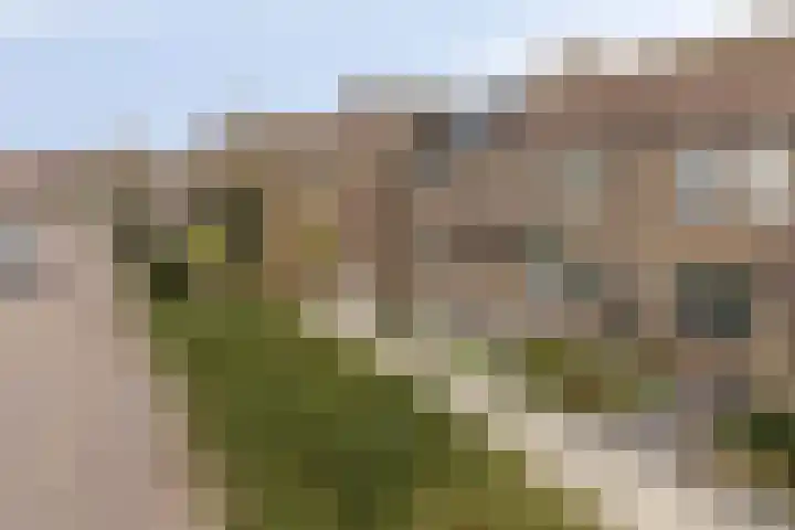 Anna Reijnvaanstraat 64 Heemskerk thumbnail 31