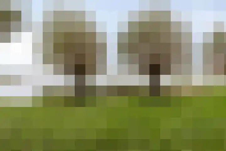 Anna Reijnvaanstraat 64 Heemskerk thumbnail 32