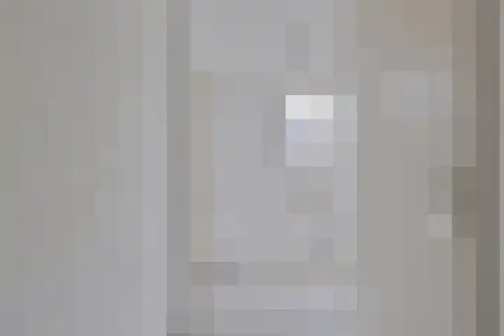 Anna Reijnvaanstraat 64 Heemskerk thumbnail 5